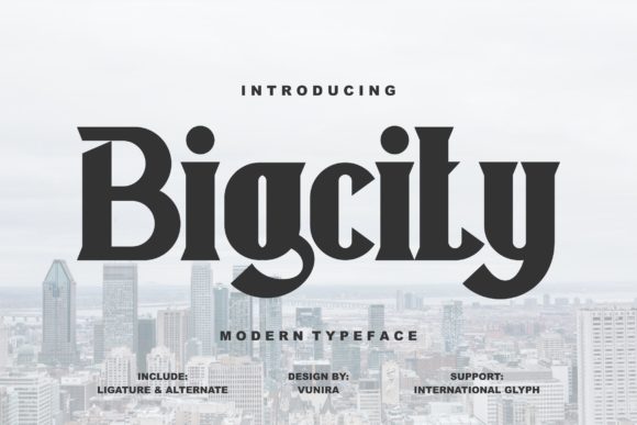 Bigcity Display Font: Bold, Warm, and Editorial-Ready