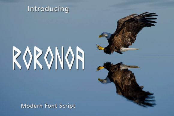 Roronoa: A Display Font That Turns Abstract Shapes Into Brand Energy