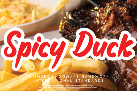 Spicy Duck: A Playful Display Font for Web Design